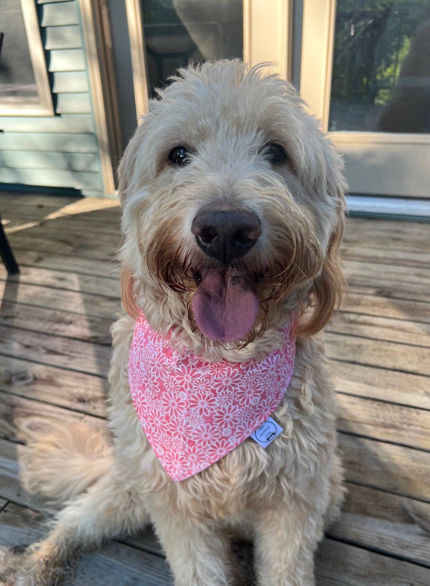 Dog Bandanas