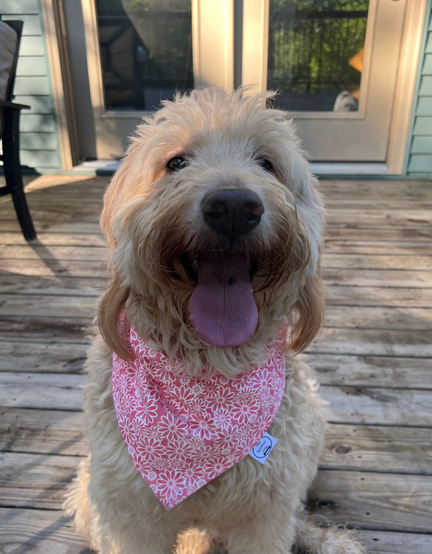 Dog Bandanas